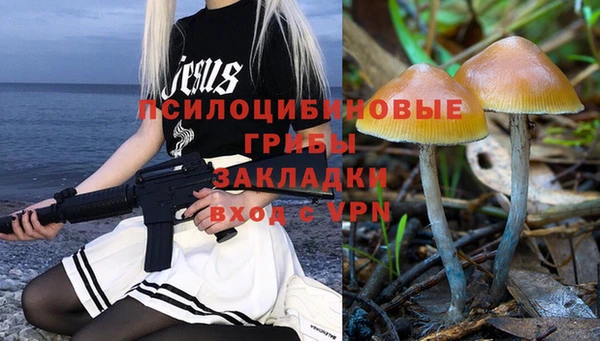 mdma Заводоуковск