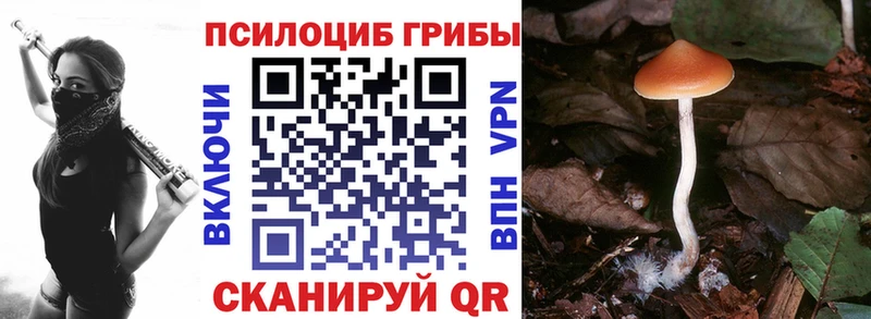 Галлюциногенные грибы GOLDEN TEACHER  Купить закладки  Гусиноозёрск 
